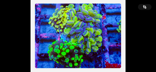 IMG_1446.png