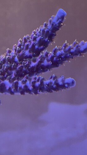 IMG_5405.jpeg