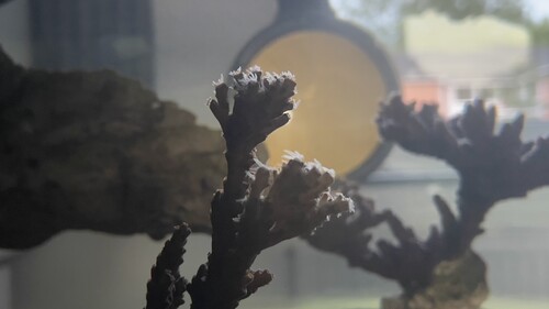 IMG_5425.jpeg