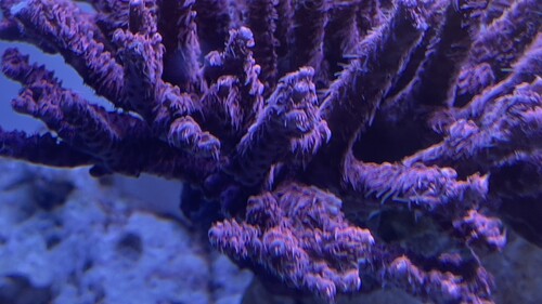 IMG_5530.jpeg