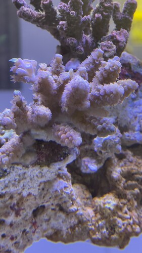 IMG_5535.jpeg