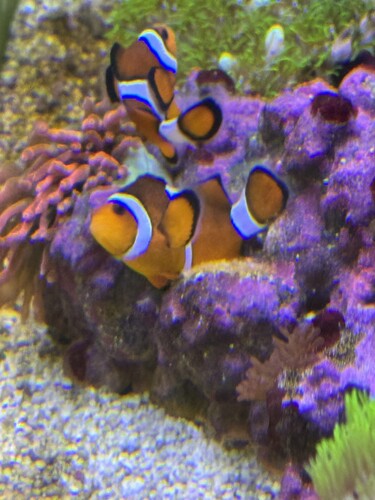 68F78DD5-E065-4611-922A-578151D07EE0.jpeg