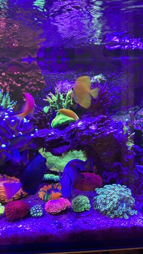 IMG_8911.jpeg