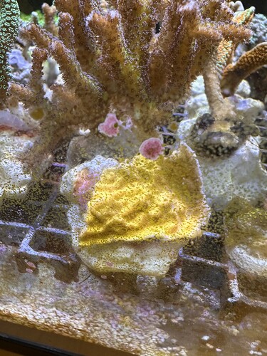 IMG_8538.jpeg