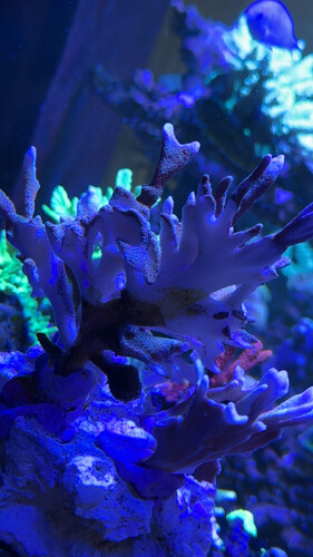 IMG_9881.jpeg