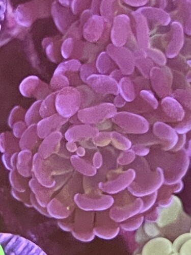 IMG_1854.jpeg