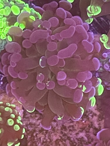 IMG_1858.jpeg