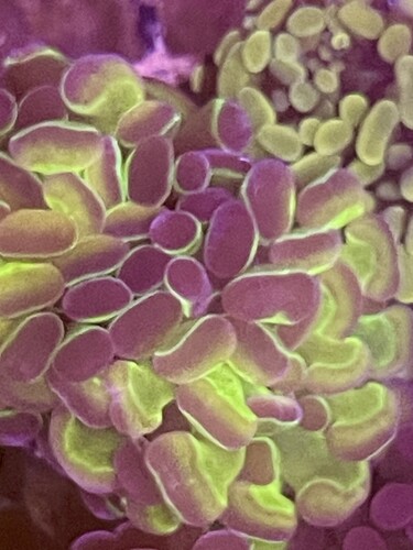 IMG_1861.jpeg