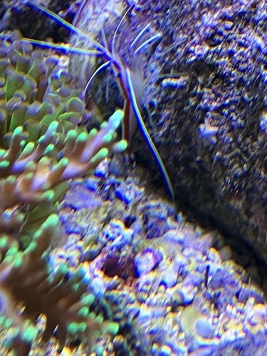 IMG_3050.jpeg