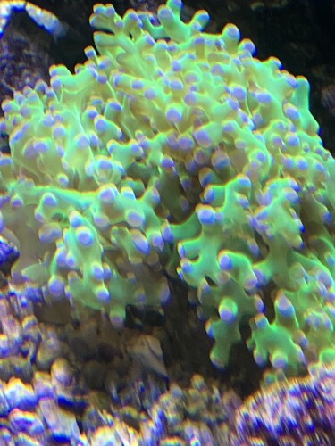 IMG_3052.jpeg
