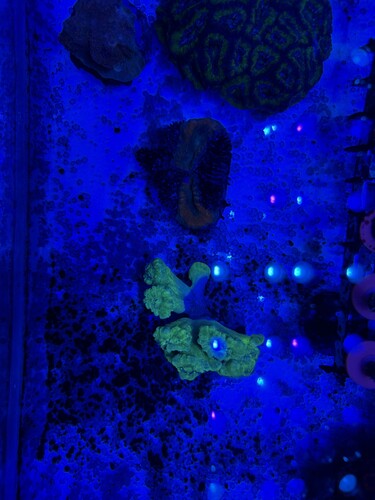 IMG_0530.jpeg