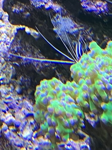 IMG_3066.jpeg
