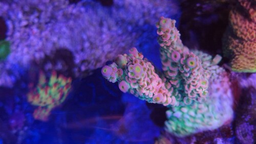 20251004_111143.jpg