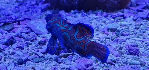 20241113_195815.jpg
