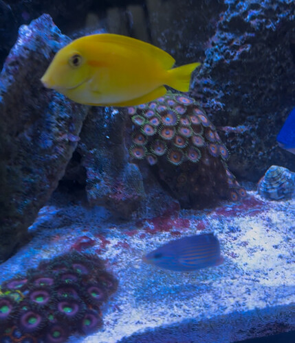 Billede 22.10.2025, 13.11.38.jpg