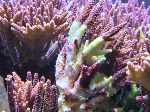 Billedet her er fra 28.12 kl 15:08