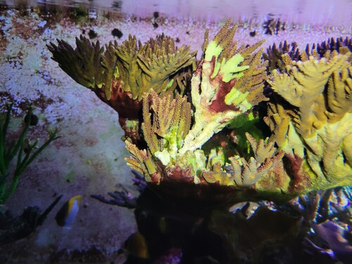 Det her er af fragmentet og er taget den 28.12 kl 10:28