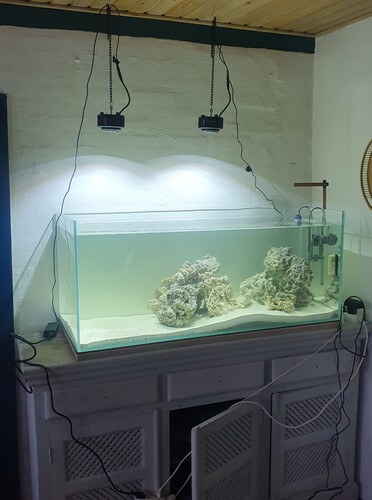 Kessil sun er sat til det koldeste Kelvin  de kan og Ca på 20%