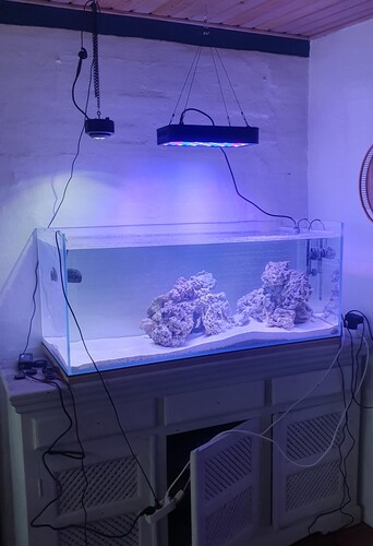 En kessil på den varmeste Kelvin og Ca 20% suppleret af en Kina lampejeg leger lidt med lys. Jeg her tre kessil sun 360 og en Kina lampe liggende...<br />Mangrove træerne skal stå  enten i den frie ende til venstre eller i begge sider...<br />Så leger jeg lidt med tanken om at placere Kina lampen som på billedet og have nogle flotte blød -og lps koraller.<br />Meningen med kessil lamperne uanset placering kan tages op via lænken de hænger i i takt med at mangrove træerne begynder at sætte grene og blade...<br />Hvad syntes I?