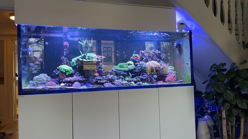 2026-01-23 11-14-15.jpeg