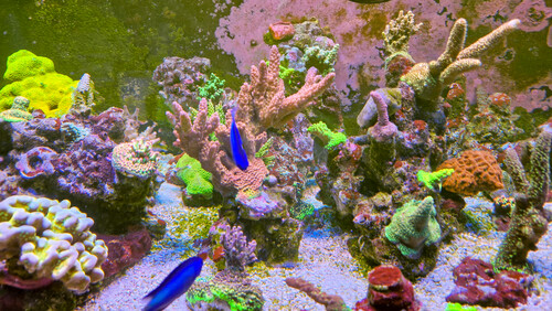 WhatsApp Image 2026-02-11 at 10.12.59 (1).tif