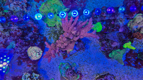 WhatsApp Image 2026-02-11 at 10.12.58 (1).tif