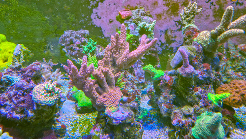 WhatsApp Image 2026-02-11 at 10.12.59.tif