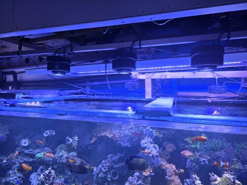 20260210_194858 (1).jpg