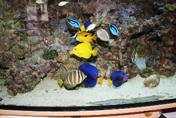 samlet er de nu meget søde