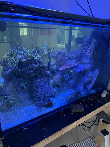 Den meget lyse acryl som er pålimet bagruden