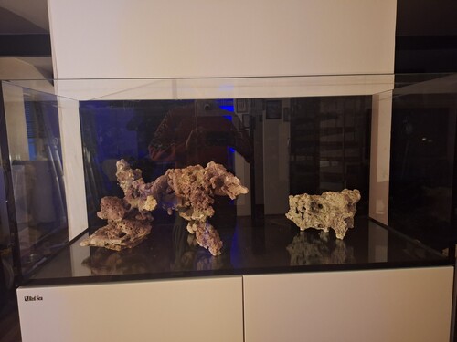 d.22-1-2025 akvariet kom på plads og stenopsætning bliver sat ned for kontrol.