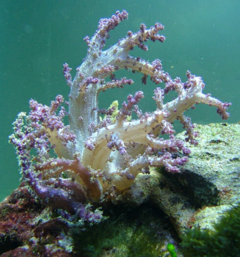 DSCF2078.jpg