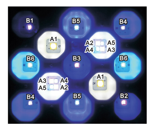 R420R-15000K-LEDLayout (1).jpg