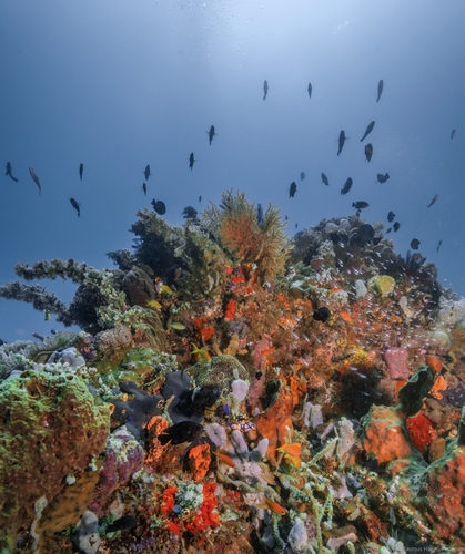 Screenshot 2026-04-14 at 19.09.35.png