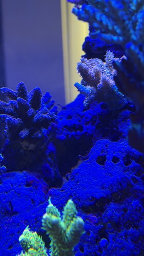 IMG_1892.jpeg