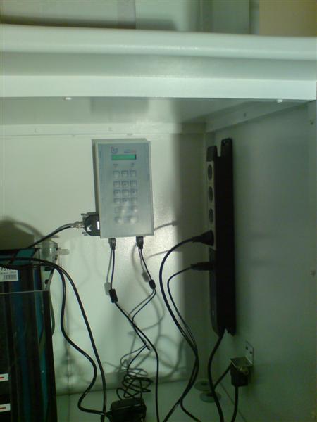 DSC00052 (Medium).JPG