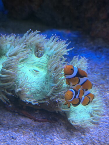 IMG_6364.jpeg