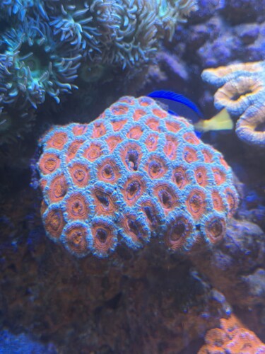 IMG_6365.jpeg