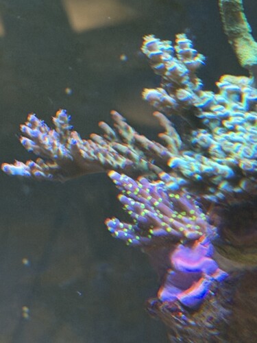 IMG_6370.jpeg