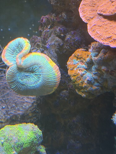 IMG_6373.jpeg