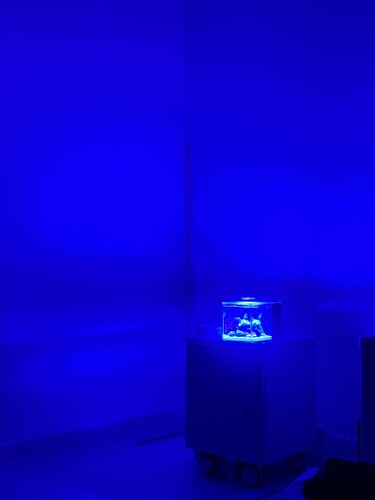 IMG_6524.jpeg
