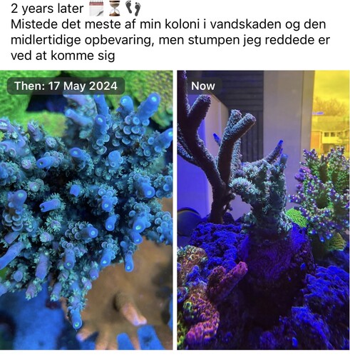 Før/efter