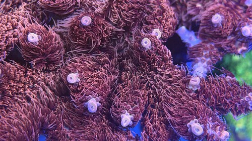 IMG_1956.jpeg
