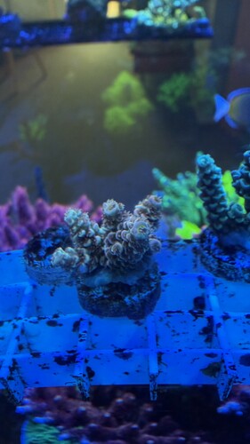 IMG_1975.jpeg