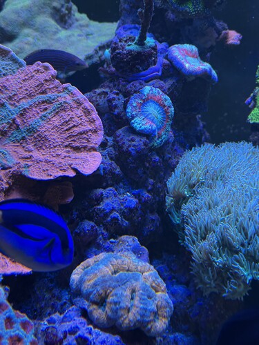 IMG_6502.jpeg