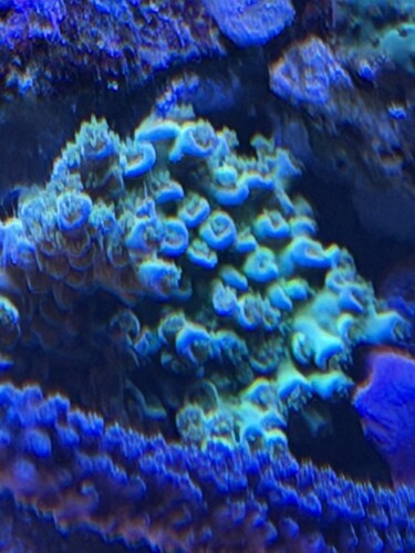 IMG_6496.jpeg