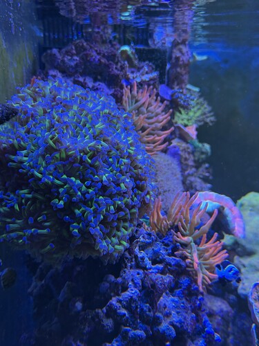 IMG_6492.jpeg