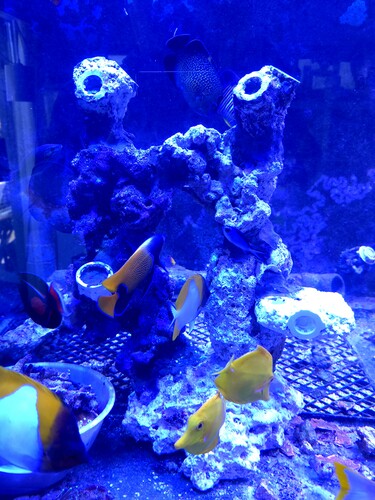 20260617_160015.jpg