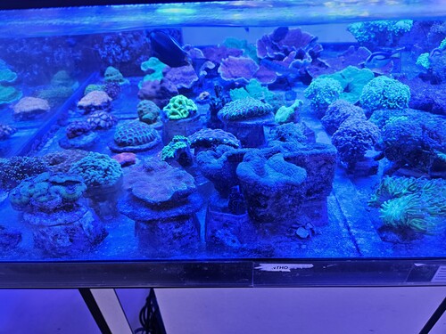 20260625_160059.jpg