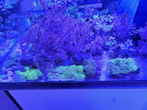 20260625_160202.jpg